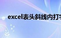 excel表头斜线内打字（excel表头斜线）