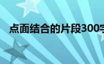 点面结合的片段300字（点面结合的片段）