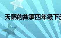 天鹅的故事四年级下册阅读（天鹅的故事）