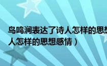 鸟鸣涧表达了诗人怎样的思想感情和情感（鸟鸣涧表达了诗人怎样的思想感情）