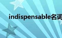 indispensable名词（indispensable）