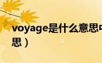 voyage是什么意思中文（voyage是什么意思）