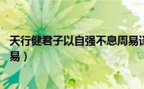 天行健君子以自强不息周易译文（天行健君子以自强不息 周易）