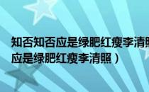 知否知否应是绿肥红瘦李清照表达一个什么意思（知否知否应是绿肥红瘦李清照）