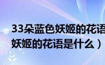 33朵蓝色妖姬的花语是什么意思（19朵蓝色妖姬的花语是什么）