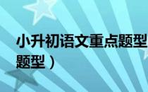 小升初语文重点题型2022（小升初语文重点题型）