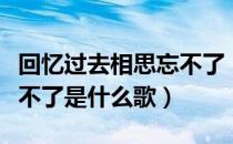 回忆过去相思忘不了（回忆过去痛苦的相思忘不了是什么歌）