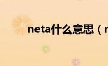 neta什么意思（neta是什么意思）