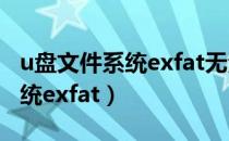 u盘文件系统exfat无法删除文件（u盘文件系统exfat）