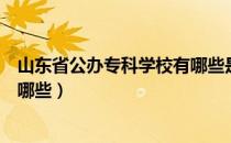 山东省公办专科学校有哪些是公办（山东省公办专科学校有哪些）