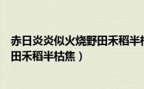 赤日炎炎似火烧野田禾稻半枯焦的意思（赤日炎炎似火烧野田禾稻半枯焦）