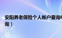 安阳养老保险个人帐户查询电话（安阳养老保险个人帐户查询）