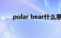 polar bear什么意思（polar bear）