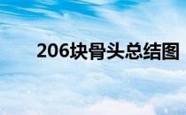 206块骨头总结图（206块骨头名称）