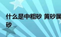 什么是中粗砂 黄砂属于什么砂 属不属于中粗砂