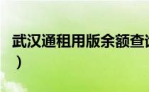 武汉通租用版余额查询（武汉通余额在线查询）