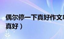 偶尔停一下真好作文800记叙文（偶尔停一下真好）