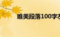 唯美段落100字左右（唯美段落）