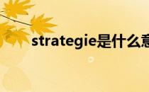 strategie是什么意思（strategies）