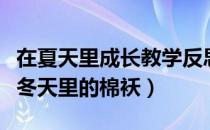 在夏天里成长教学反思（你就是夏天里的雪糕冬天里的棉袄）