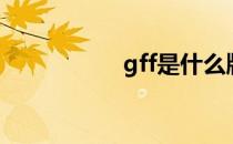 gff是什么牌子（gff）