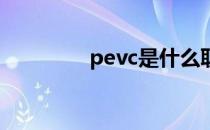 pevc是什么职位（pe vc）