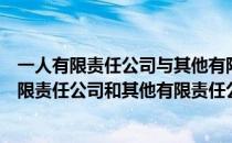 一人有限责任公司与其他有限责任公司的相同之处（一人有限责任公司和其他有限责任公司的区别）