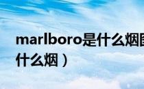 marlboro是什么烟图片价格（marlboro是什么烟）