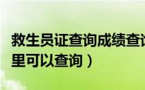 救生员证查询成绩查询（救生员从业资格证哪里可以查询）