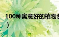 100种寓意好的植物名字（寓意好的植物名称）