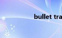 bullet train（bull）