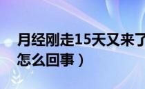 月经刚走15天又来了（月经提前半个月来是怎么回事）