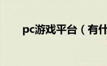 pc游戏平台（有什么好玩的pc游戏）