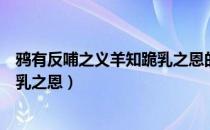 鸦有反哺之义羊知跪乳之恩的意思是（鸦有反哺之义羊知跪乳之恩）