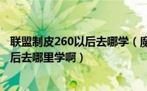 联盟制皮260以后去哪学（魔兽世界 中联盟制皮以满150 然后去哪里学啊）