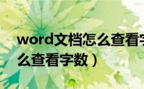 word文档怎么查看字数多少（word文档怎么查看字数）