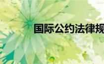 国际公约法律规定（国际公约）