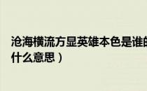 沧海横流方显英雄本色是谁的诗句（沧海横流方显英雄本色什么意思）