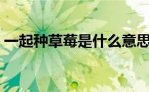 一起种草莓是什么意思（种草莓是什么意思）