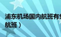 浦东机场国内航班有免税店吗（浦东机场国内航班）