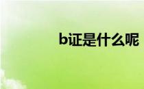 b证是什么呢（b证是什么）