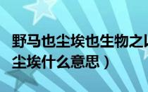 野马也尘埃也生物之以息相吹也的意思（野马尘埃什么意思）