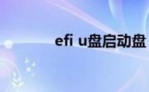 efi u盘启动盘（efi启动u盘）