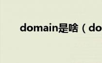 domain是啥（domain是什么意思）