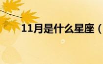 11月是什么星座（12月是什么星座）