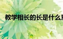 教学相长的长是什么意思（教学相长的长）