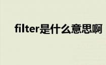 filter是什么意思啊（filter是什么意思）