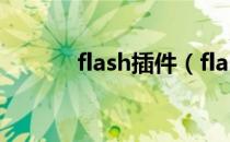 flash插件（flash是什么软件）