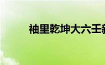 袖里乾坤大六壬新探（袖里乾坤）