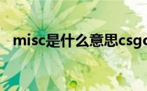 misc是什么意思csgo（misc是什么意思）